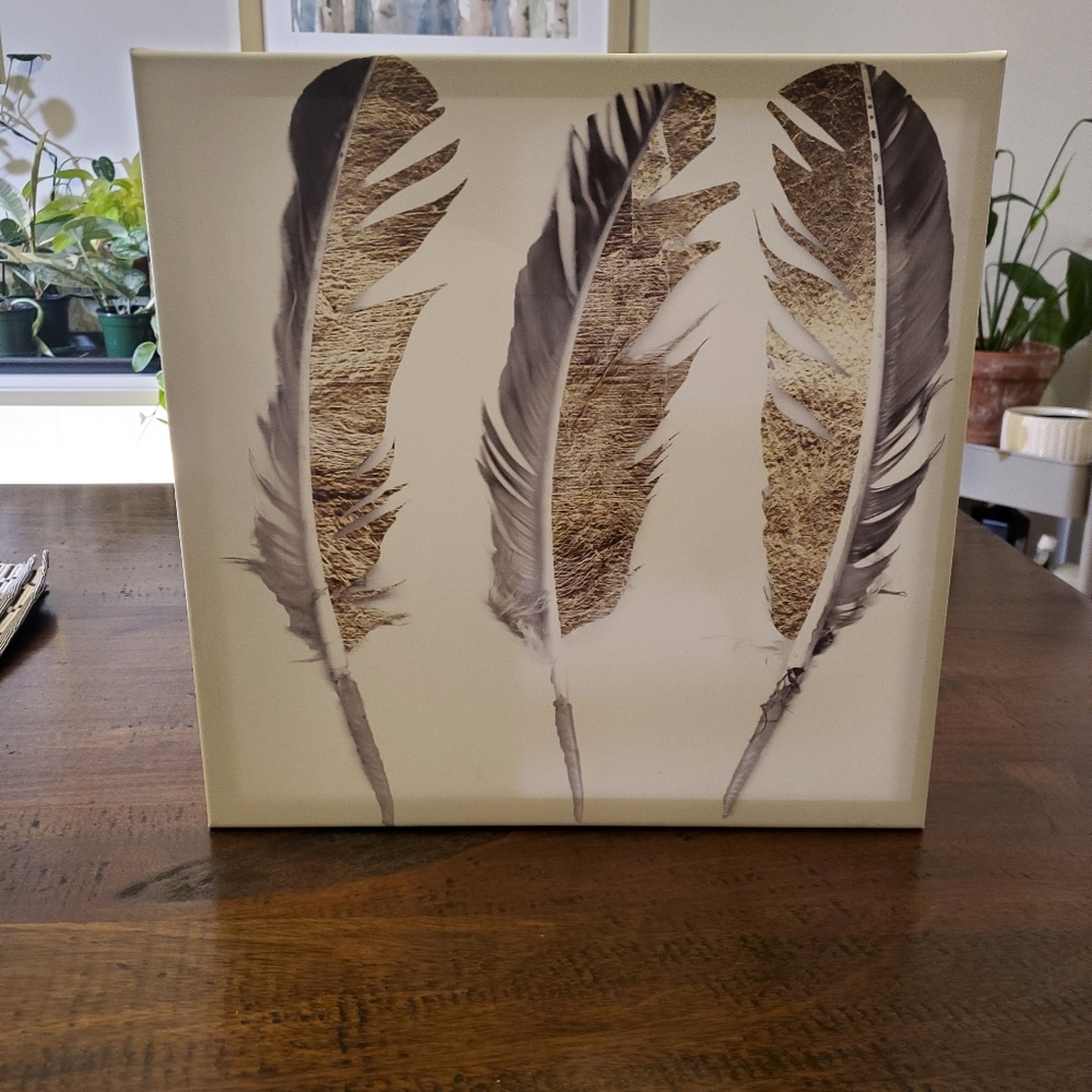 15"x15"x2.5" Canvas Feathers artwork